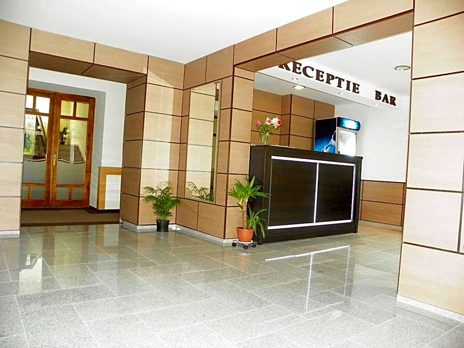 Hotel Muresul Health Spa