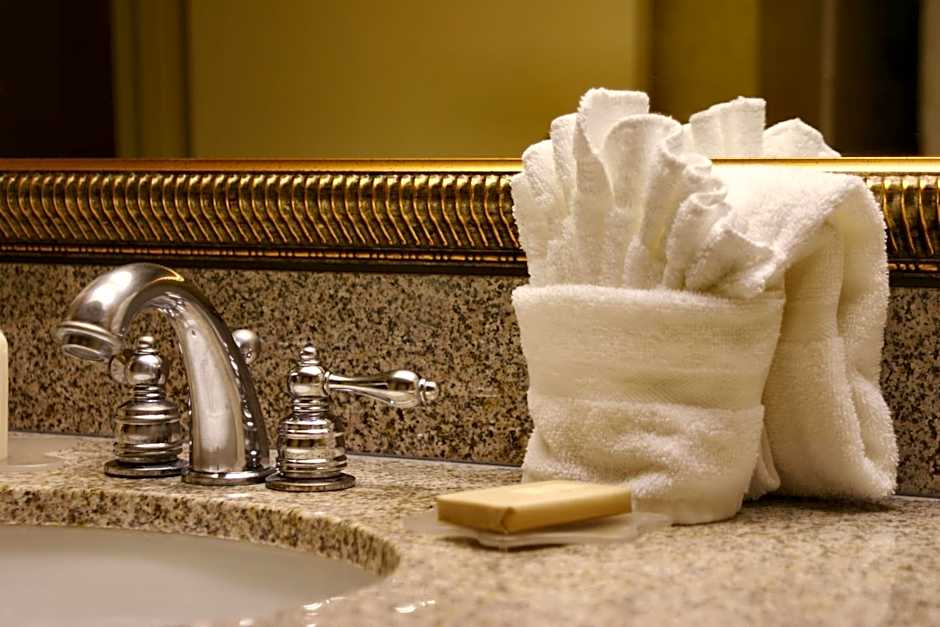 Millennium Hotel Paris Charles De Gaulle