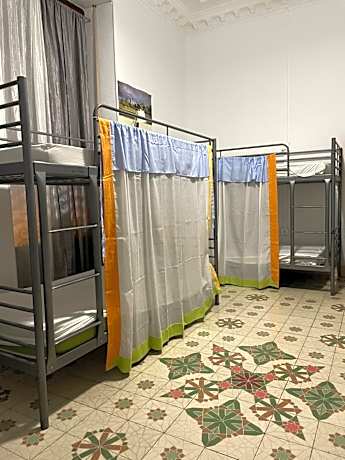 Single Bed in 10-Bed Dormitory Room