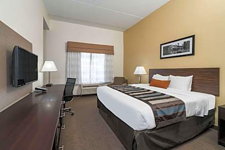 King Studio Suite, Disability Access Non-Smoking