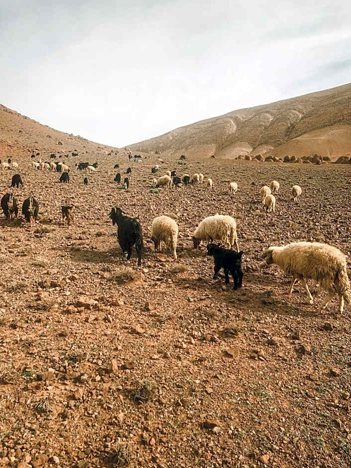 Hiking Nomads Guesthouse