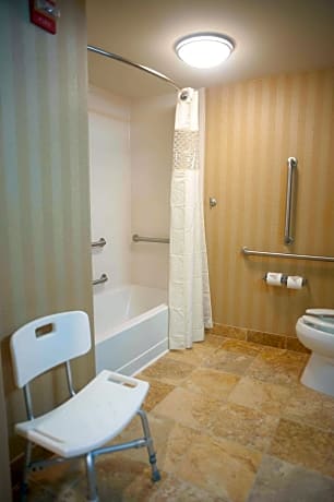 1 King Mobility/Hearing Access W/Tub Nonsmok