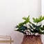 Isara Boutique Hotel and Cafe