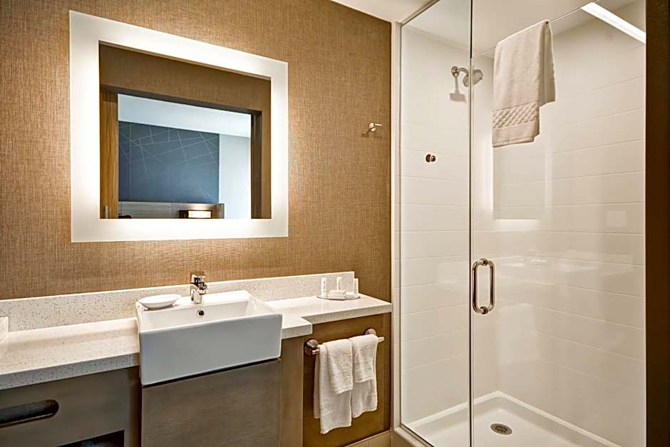 SpringHill Suites by Marriott Cincinnati Blue Ash