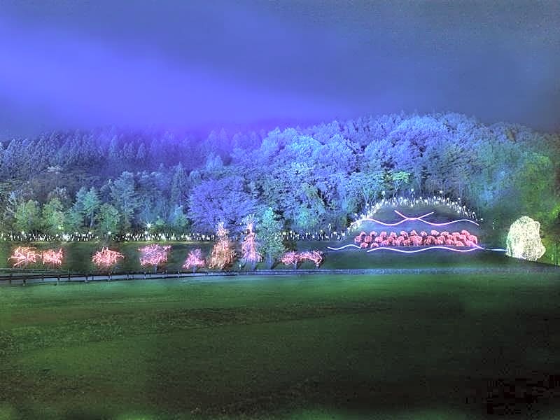 Hotel Schonvert