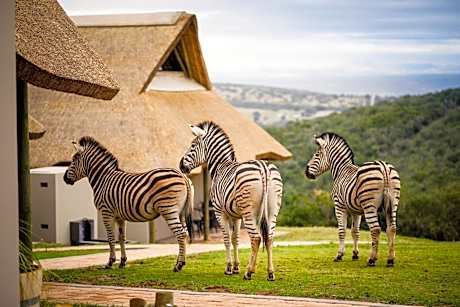 JBay Zebra Lodge