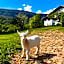 Segredo da Serra Pousada Boutique