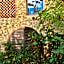 Il Paretaio