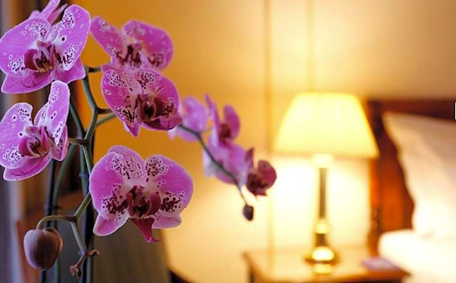 Hotel Le Plaza Brussels