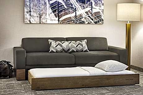 Studio, 1 King Bed with Sofa bed (1 King Bed and 1 Double Sofa Bed)