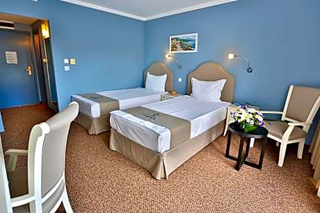 Double or Twin Room with Balcony and Park View