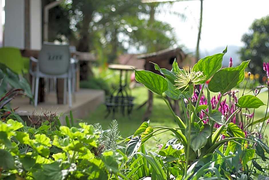 Boulevard Inn Mt Meru