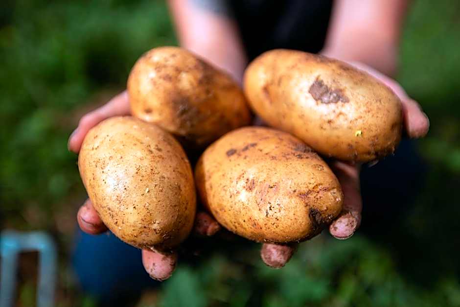 Holifield Farm Hostel & Community Project