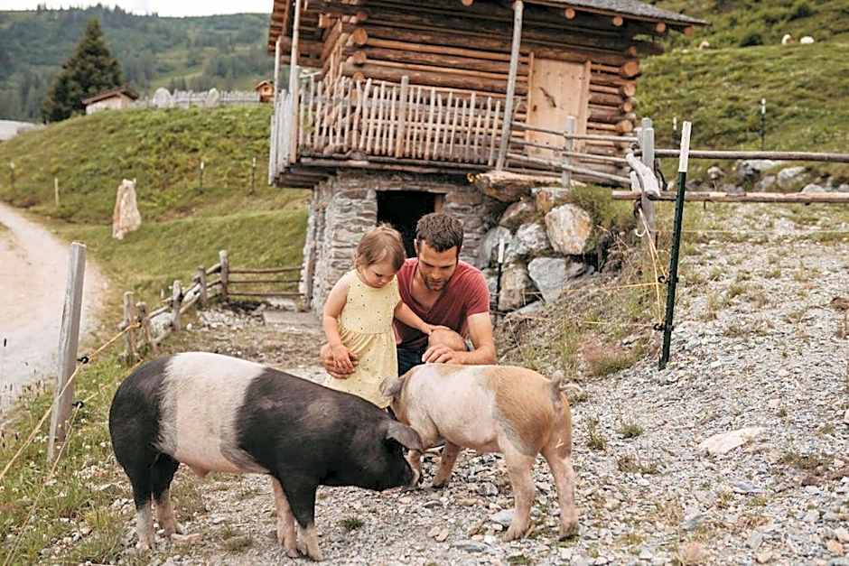 Gehwolfalm Berghotel