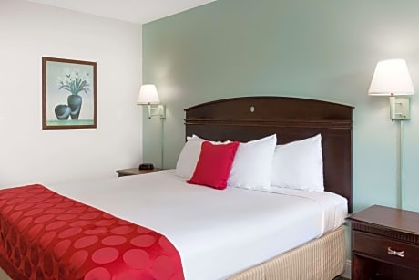 1 King Bed 1ST Floor Smoking