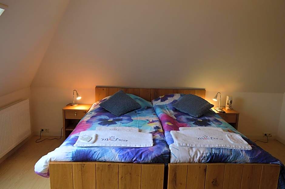 B&B Idylle aan Zee incl 2 Wellnessstudios