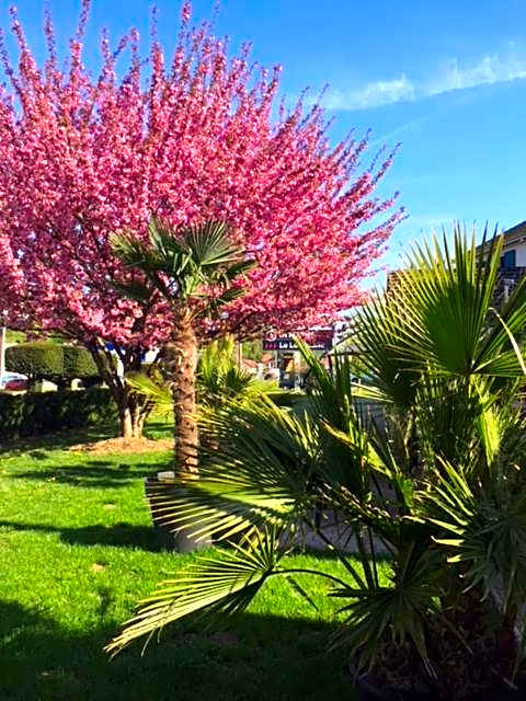 The Originals City, Hotel Le Louisiane, Belfort Sud (Inter-Hotel)