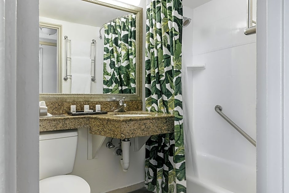 Holiday Inn Hotel Port of Miami-Downtown By IHG