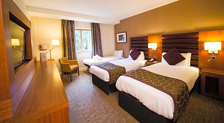 Photo 1 of 4 of Triple Room