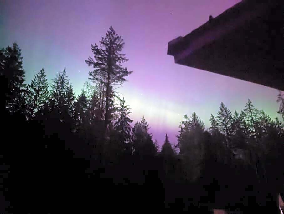 Mushroom theme cabin on 33 Acre Farm