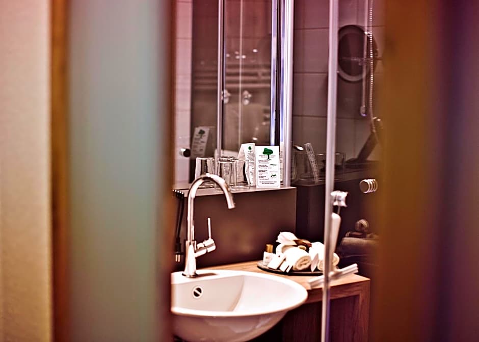 Historisches Gasthaus Hotel Hirschen Horn