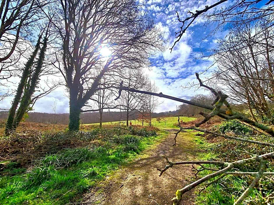 No 27 Coghurst Hall Hastings