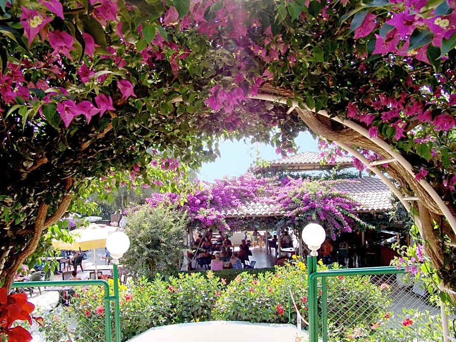 Titan Club Hotel Ultra All Inclusive