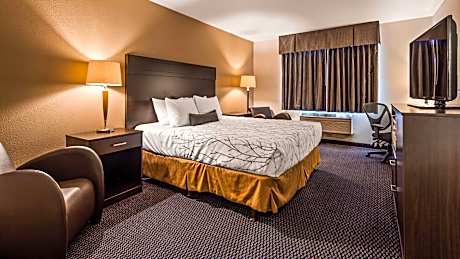 1 King Mobility Access Roll In Shower Microwave Fridge Pet Friendly NonSmoking Full Breakfast