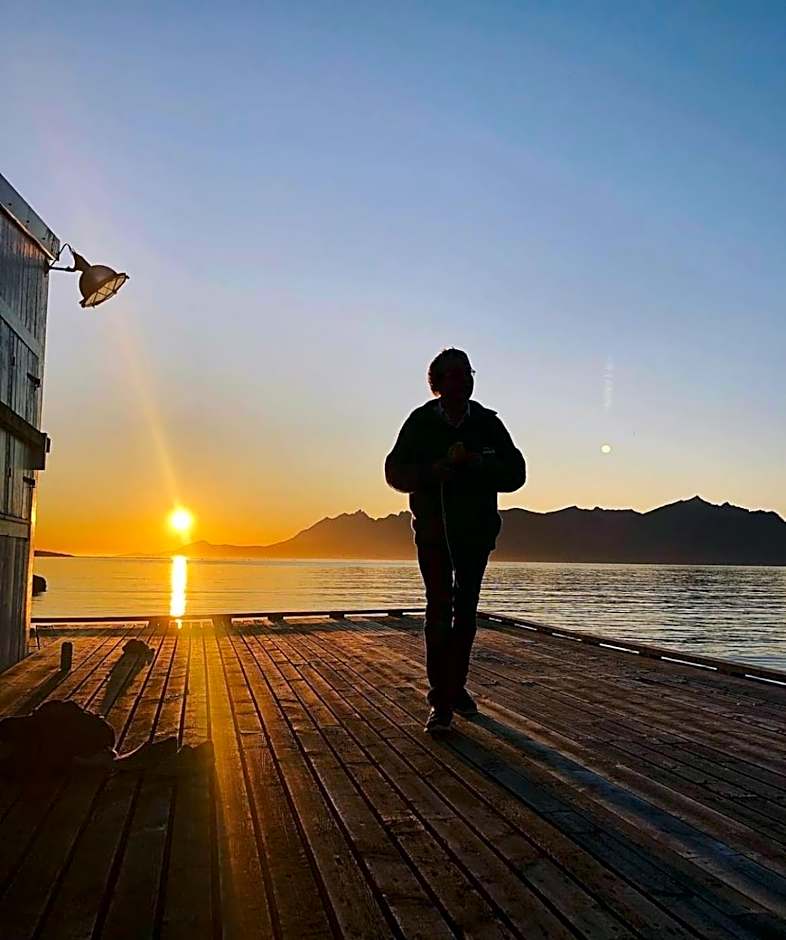 Senja Living