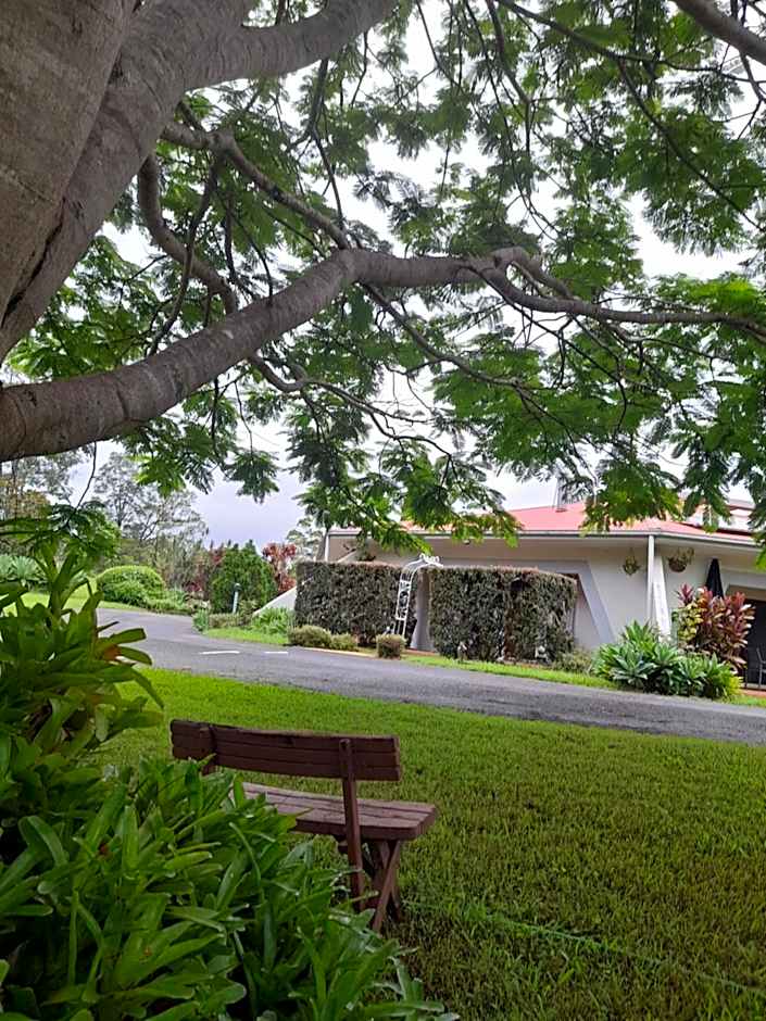 A view of Mount Warning