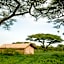 Gnu Ndutu Camp
