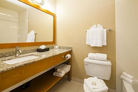 Executive King Room with Sofa Bed