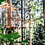 Apartments - Pension Florian