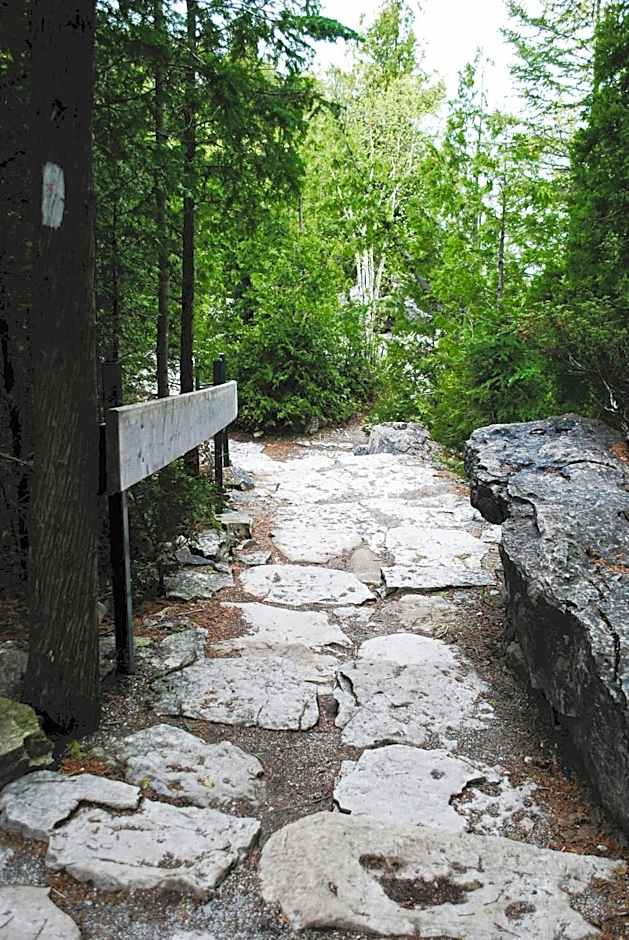 Serene Lakefront Retreat Explore & Unwind