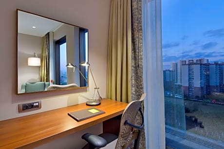 King Accessible Room