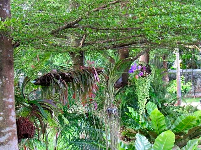 B&B Forest Hill Khao Yai