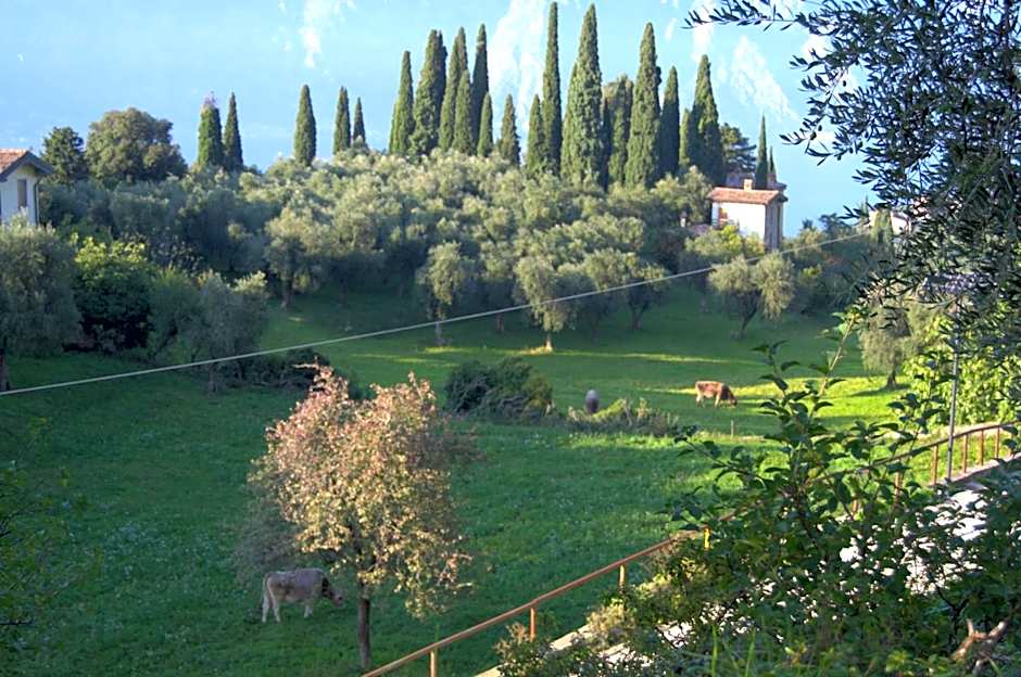 Guesthouse Grand View