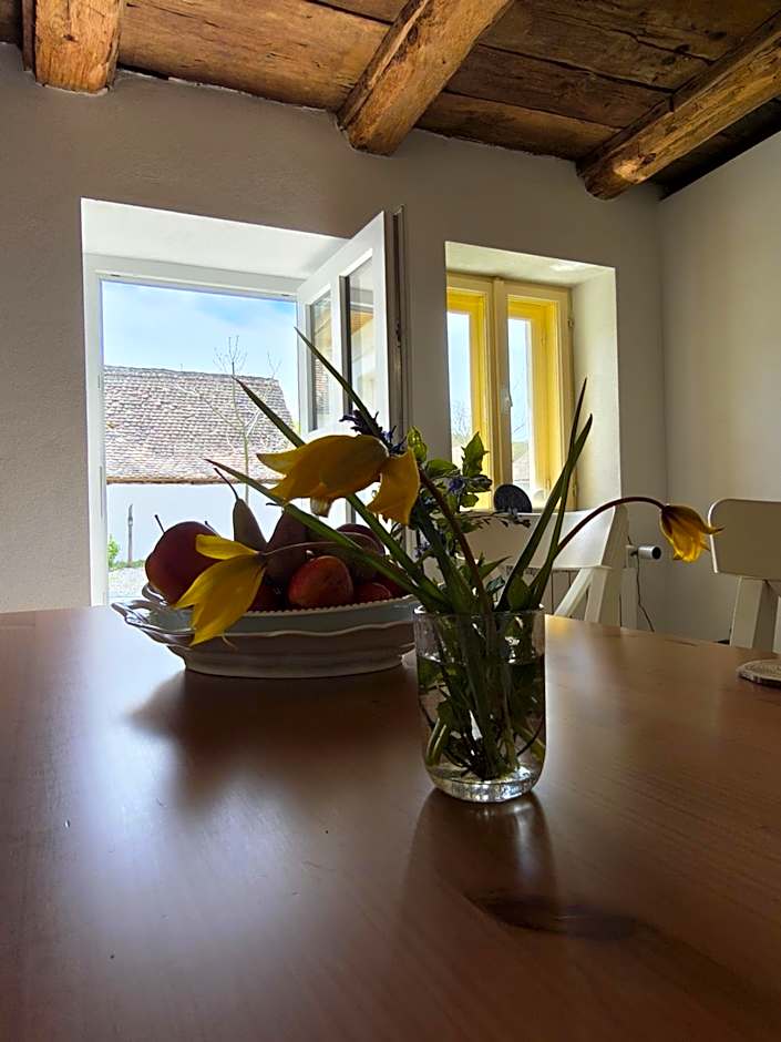 Casa Via Viscri