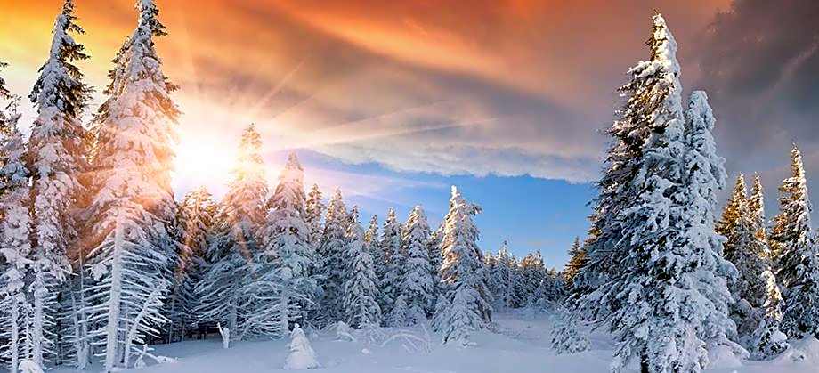 Hotel an der Sonne & Restaurant Zum Schneiger