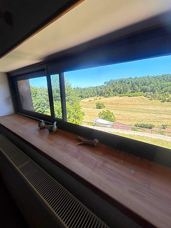 B&B Angueur