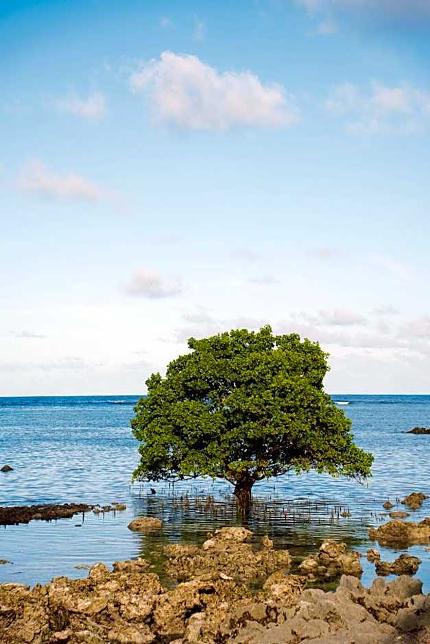 Woody's Place Siargao