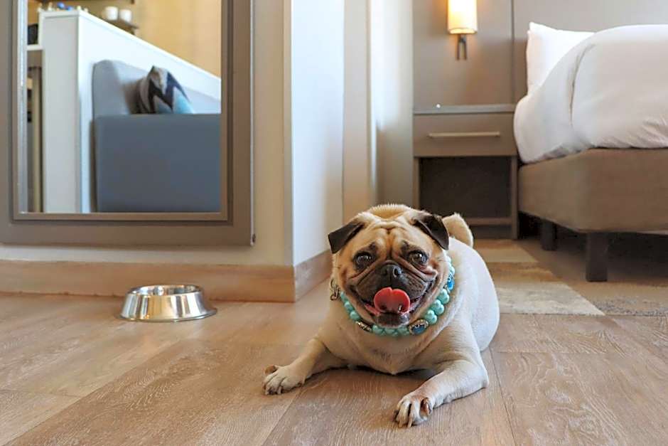 Residence Inn by Marriott Merida