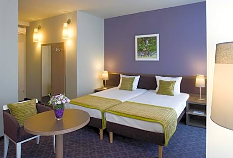 Executive Double or Twin Room