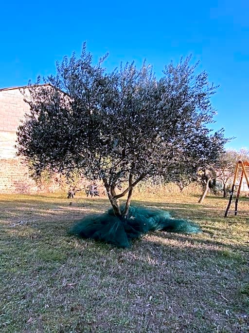 Le Nomade en Provence