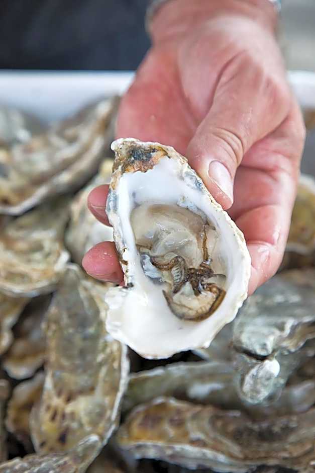 Bed & Brasserie Het Kosthuys