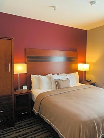 One-Bedroom Suite
