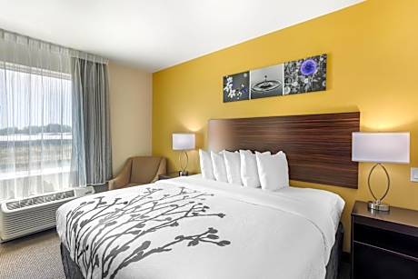 1 King Bed, Nonsmoking