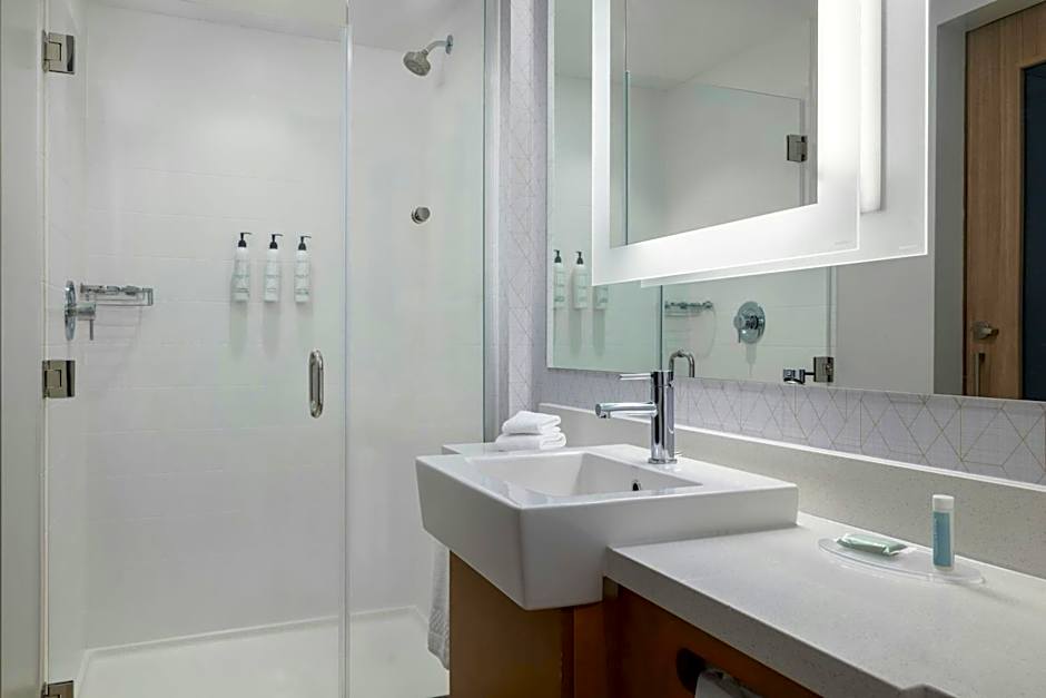 SpringHill Suites by Marriott Allentown Bethlehem/Center Valley
