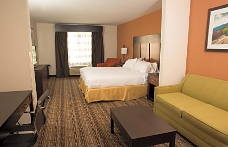 Suite Executive King Bed