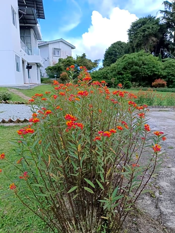 Dear Dino Villa Cameron Highlands